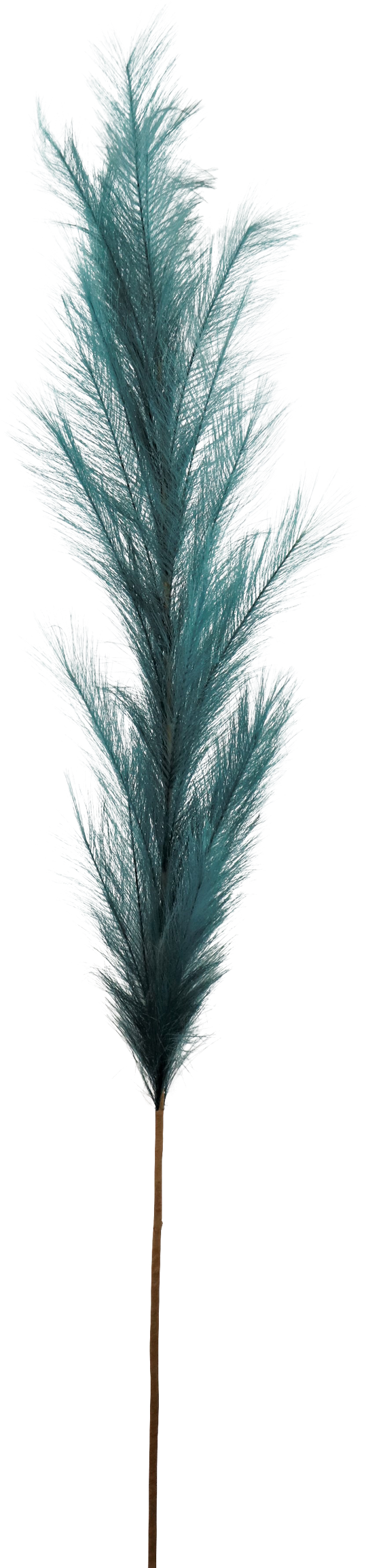 7160 FEATHER PETROL 170CM