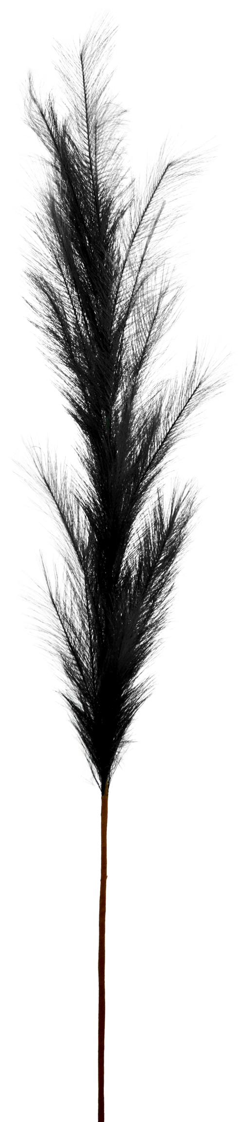 7171 FEATHER SCHWARZ 170CM