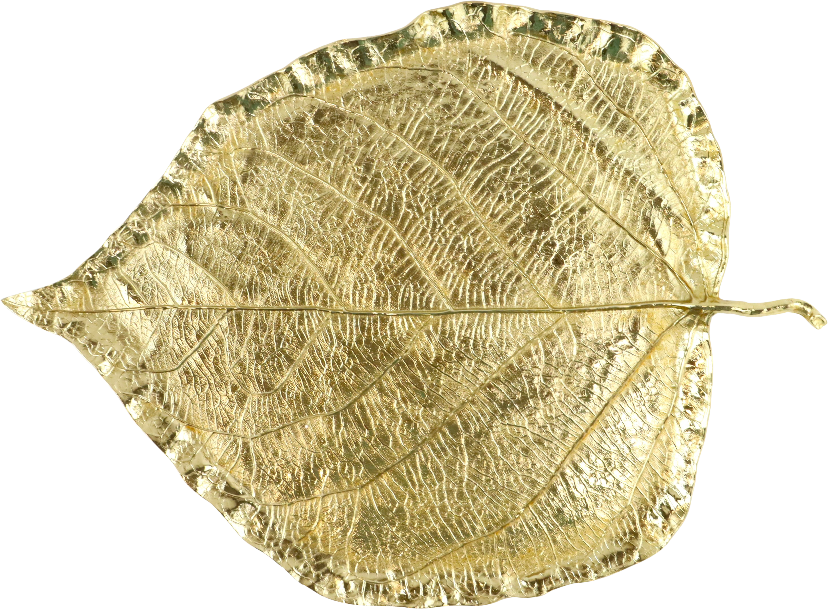 7947 LEAVEBOWL FOGLIA