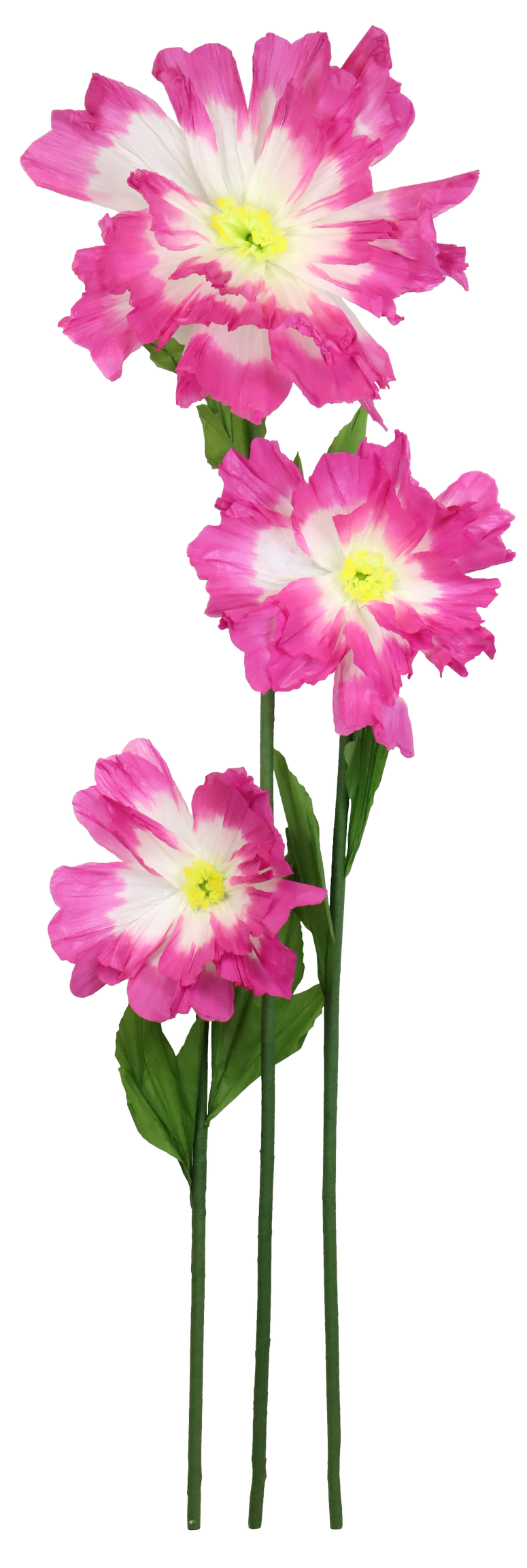 7953 FIORE  FLEUR FANTASTIQUE  3PZ