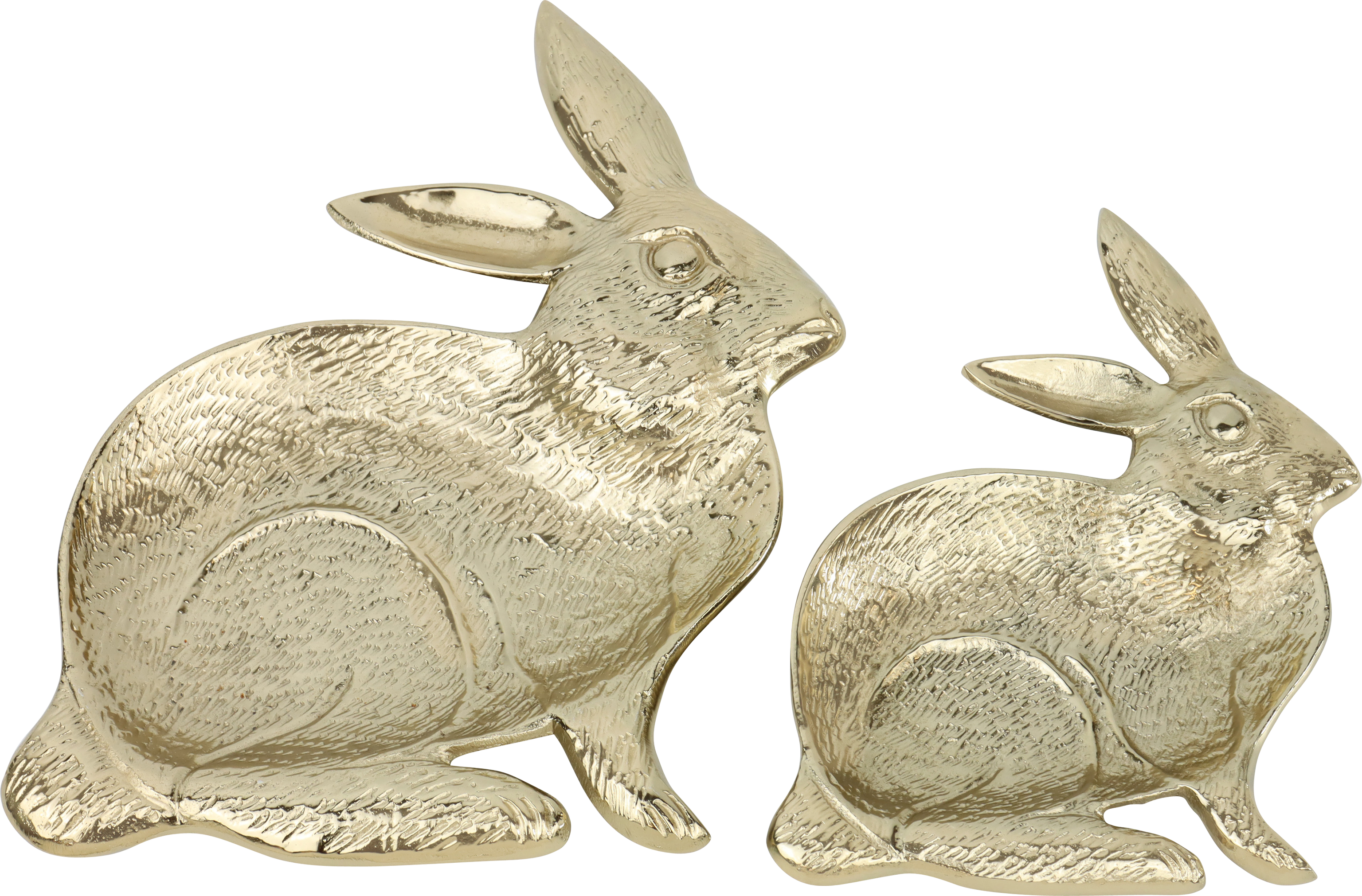 8243 HASENTELLER S/2