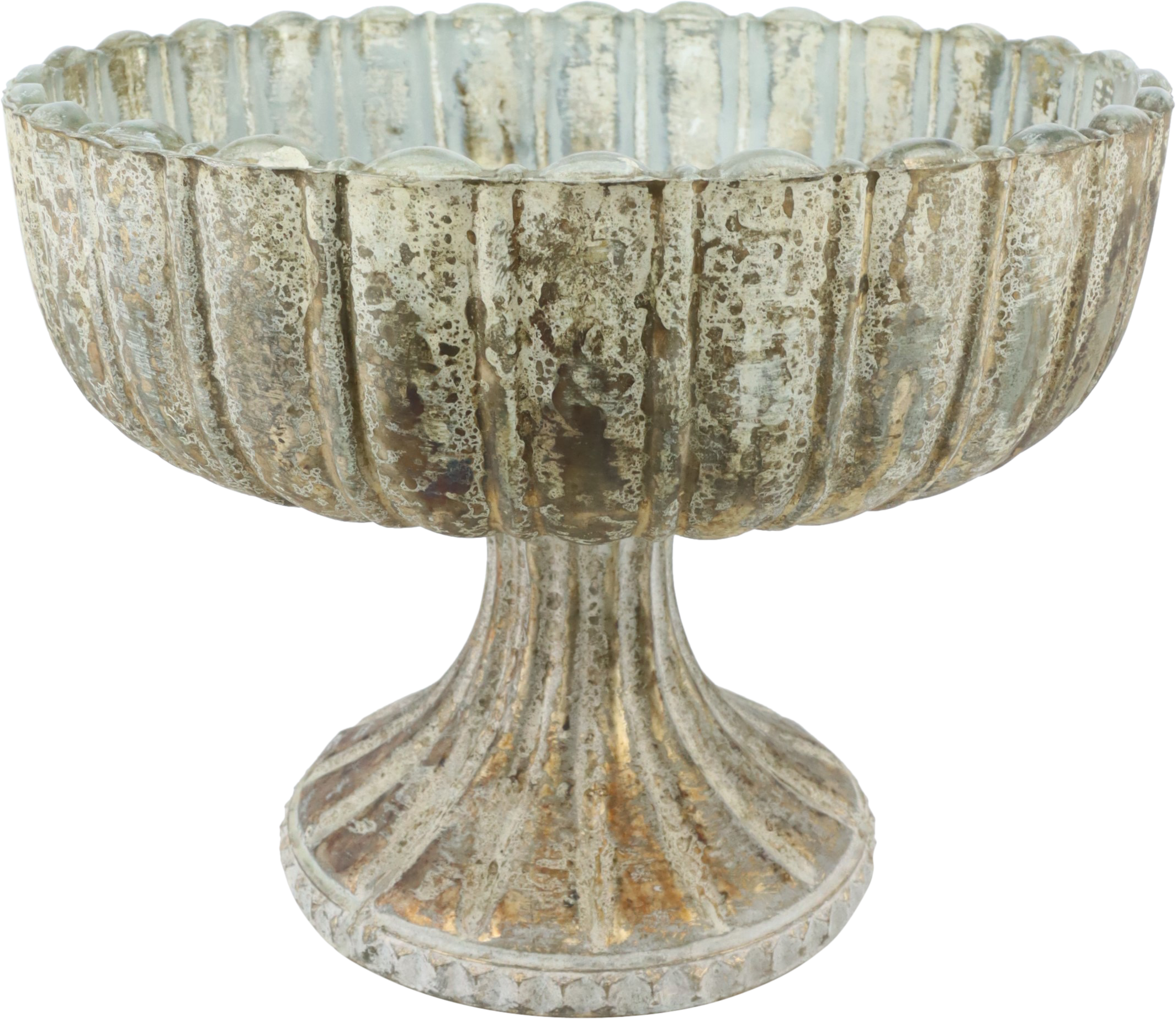 8343 CIOTOLA COPPA LOIRA