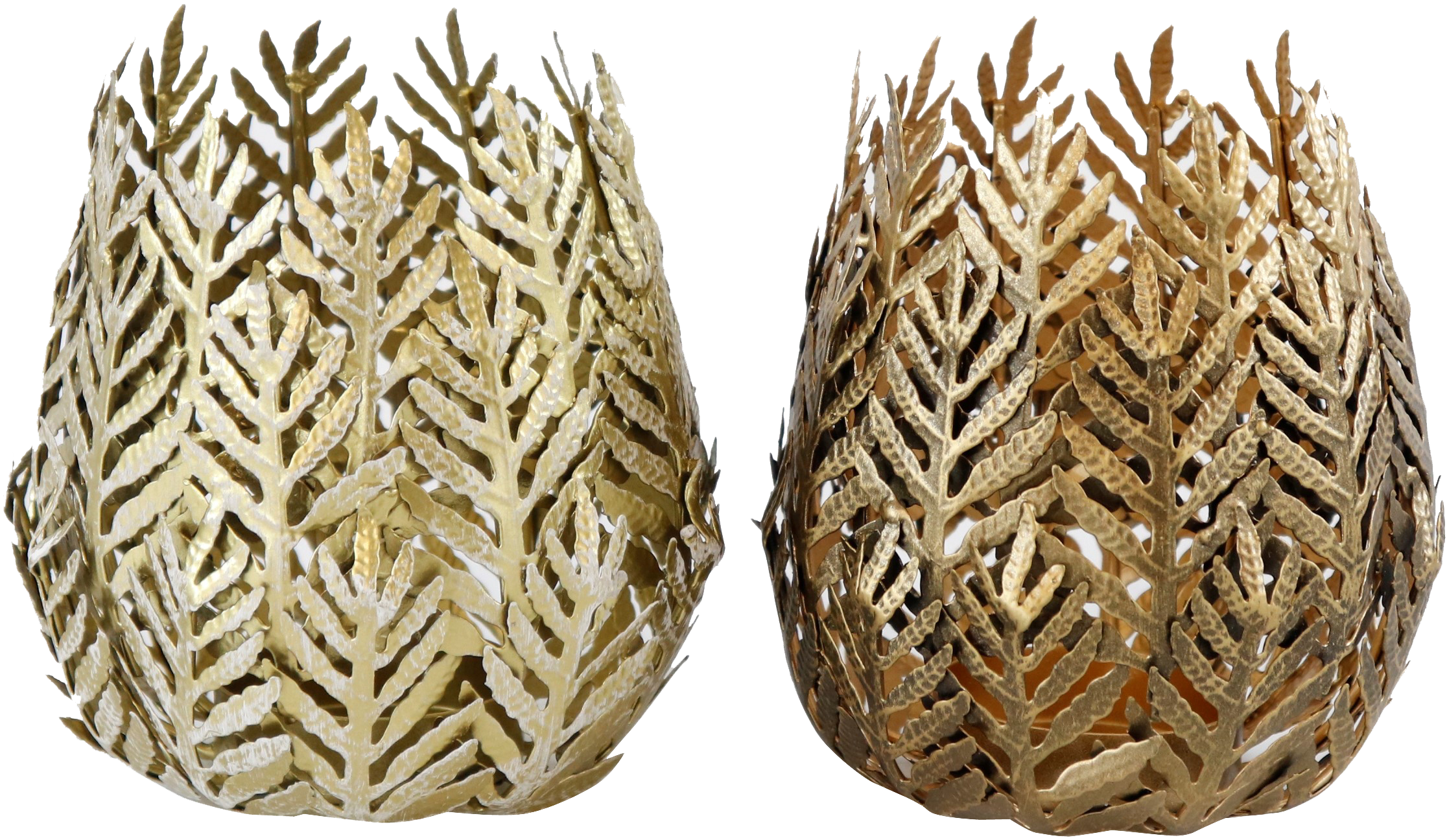 9805 PHOTOPHORES  LEAVES  2P